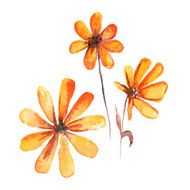 vector watercolor flower