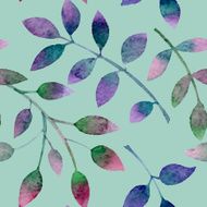 Leaves N61