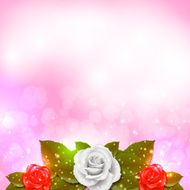 Rose background N18