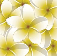 All purpose bright frangipani card in vector format N3