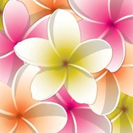 All purpose bright frangipani card in vector format N4