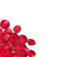Valentine card - red rose petals EPS 10