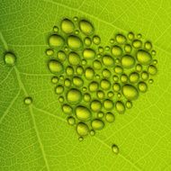 Heart shape dew drops on green leaf Vector illustration EPS10
