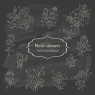 Hand sketched vintage floral elements N3