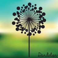 Flowers design N242