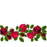 Seamless red roses pattern N2
