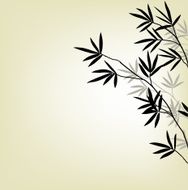 Bamboo Background N8
