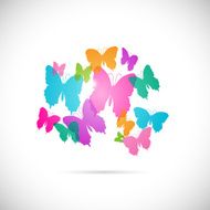 Colorful Butterflies N7