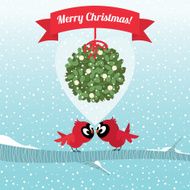 Birds kissing under a branch of mistletoe Christmas
