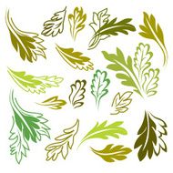 Floral Design ELements N30