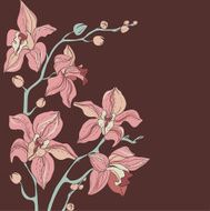 Vector Bouquet of Orchids N2