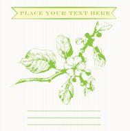Flower card N32