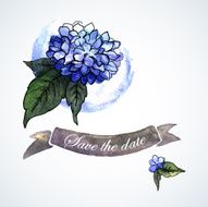 Illustration with blue watercolor hydrangea