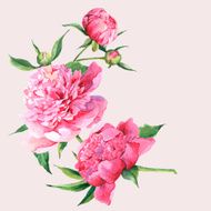 Pink watercolor peonies vintage greeting card N7