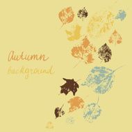 Autumn background with leaves N35
