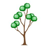 Tree N37