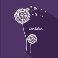 Flowers design N253