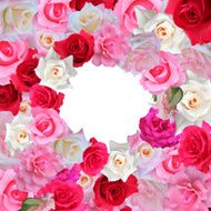 Roses greeting card