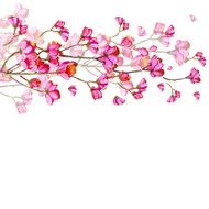beautiful pink flowers N4