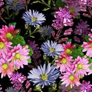 autumn beautiful flowers N2
