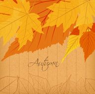 Autumn Leaves Background N16