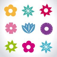 Flowers design N255