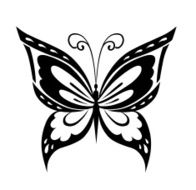 Ornamented abstract silhouette butterfly N8