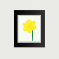 Daffodil Picture on a Black Frame