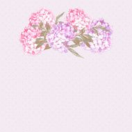 Vintage Greeting Card with Hydrangea and Peonies N2