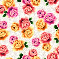 repetition of the rose N53