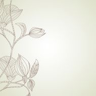 Floral background N951