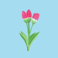 Tulips N13