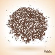 Vintage hand drawing background with flowers