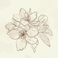 Vintage floral card apple tree flowers Vector illustration