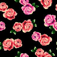 repetition of the rose N54