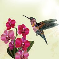 Fashion floral background with orchid and hummingbird