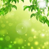 Green Floral Nature Background
