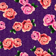 repetition of the rose N56