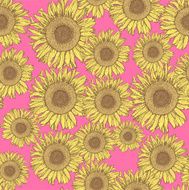 Sketch sunflower N4