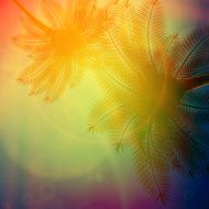 Palm trees with beautiful sunset N14