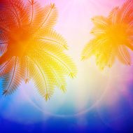 Palm trees with beautiful sunset N15