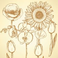 Sketch flowers vector vintage backgrounds N2