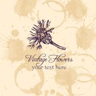 vintage vector floral card N2