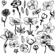 vintage vector floral set N3
