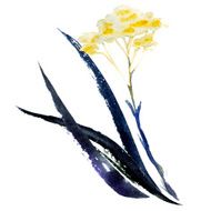 Watercolor Flowers N124