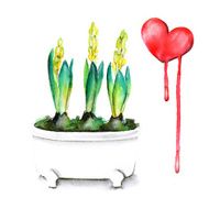 The flower in pot and the watercolor heart