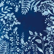 nature background N12