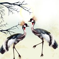 Beautiful couple of birds