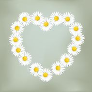 Heart of daisies (Loves me loves me not &hellip;)