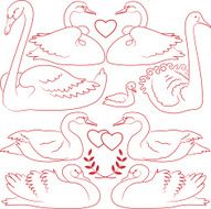 Swans and hearts